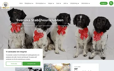 stabijhounklubben.se snapshot