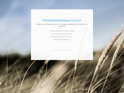 mimediadordeseguros.com snapshot