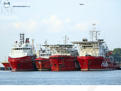 anchormarinegroup.com snapshot