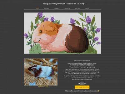 thedreampiggies.com snapshot
