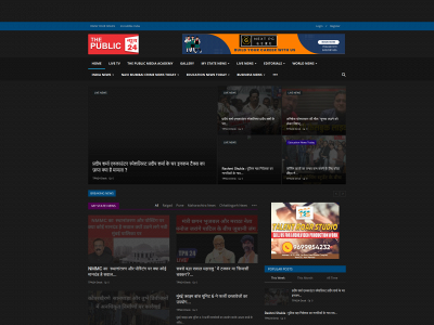 thepublicnews24.com snapshot