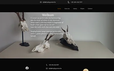 trophycorner.be snapshot
