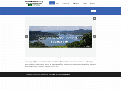 zalamealab.com snapshot