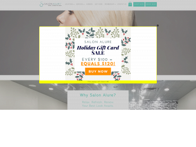 www.salonalure.com snapshot