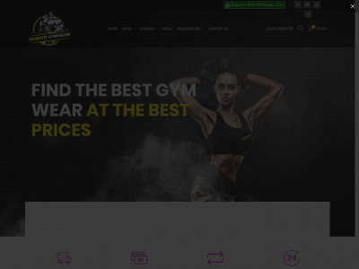 www.monsta.co.za snapshot