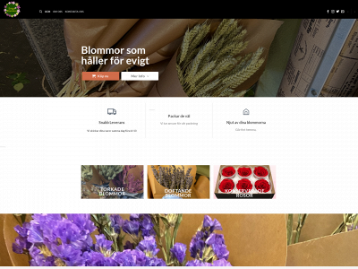 evigablommor.se snapshot