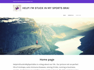 helpimstuckinmysportsbra.com snapshot