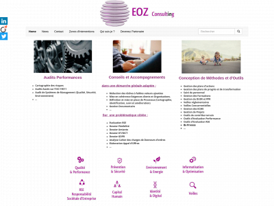 eoz-consulting.com snapshot
