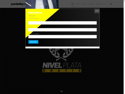 yonleiby.com snapshot