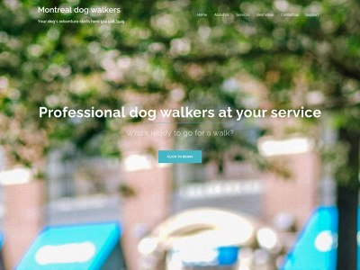 mtldogwalkers.com snapshot