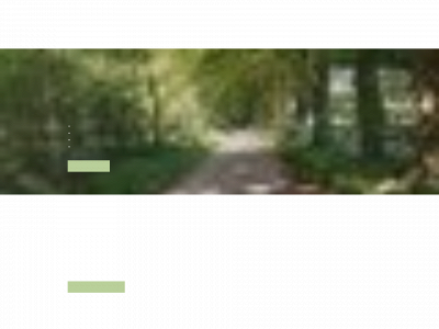 stacoaching.nl snapshot