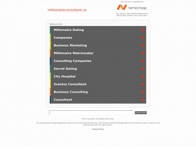 millionaireconsultant.us snapshot