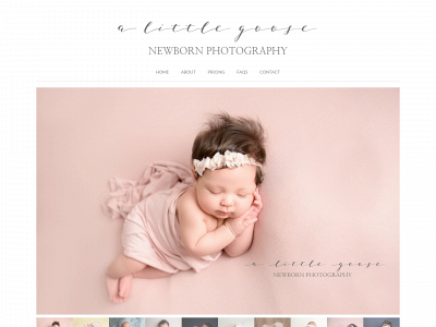 alittlegoose.com snapshot