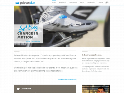 pelotonblue.com snapshot