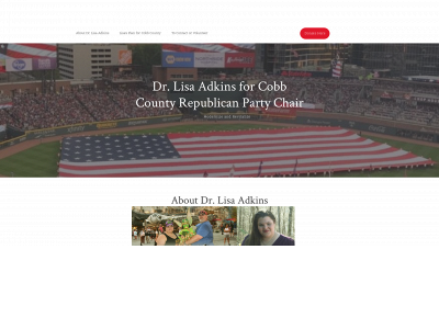 lisaforcobb.com snapshot