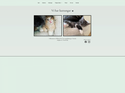 blackprecious.se snapshot