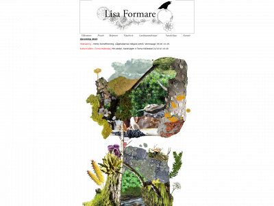 lisaformare.com snapshot