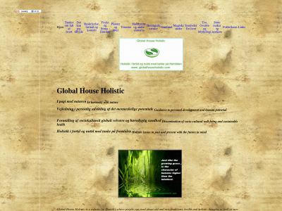 globalhouseholistic.com snapshot