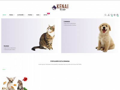 kenai.cl snapshot