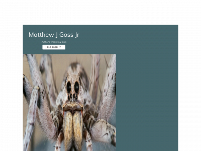 www.matthewjgossjr.com snapshot