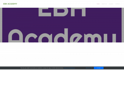 ebhacademy.weebly.com snapshot