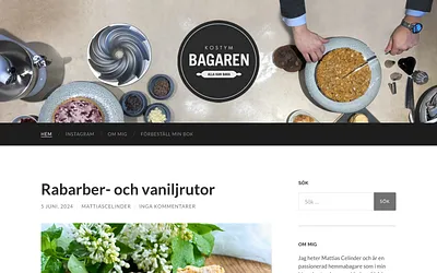 kostymbagaren.se snapshot