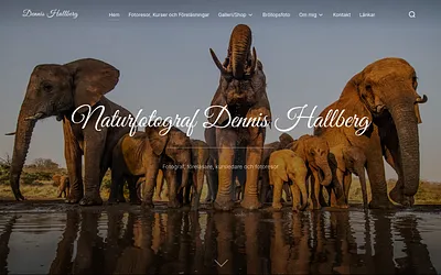 naturfotografdennishallberg.se snapshot