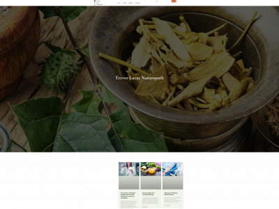 trevorlucasnaturopath.com snapshot