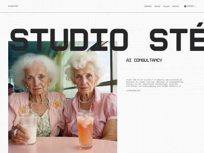 studiosten.se snapshot