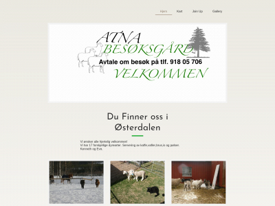 atnaeventyr.com snapshot