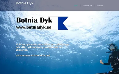 botniadyk.se snapshot