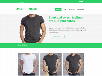 spidertraders.co.uk snapshot