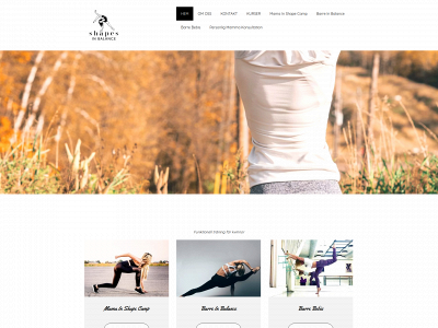 shapesinbalance.se snapshot