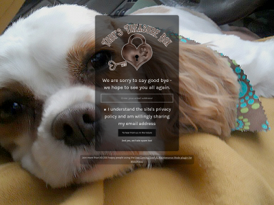 tobystreasurebox.com snapshot