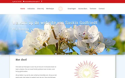 dezontherapie.nl snapshot