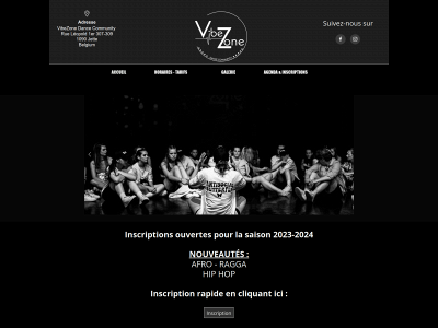 vibezone.be snapshot