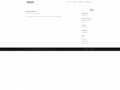 cyberweavespirituality.com snapshot
