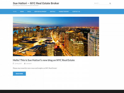 suehattori.com snapshot