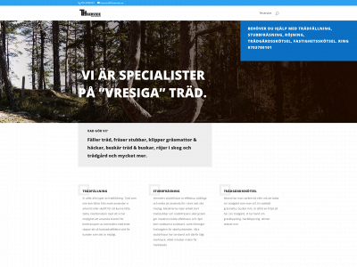 thservice.se snapshot