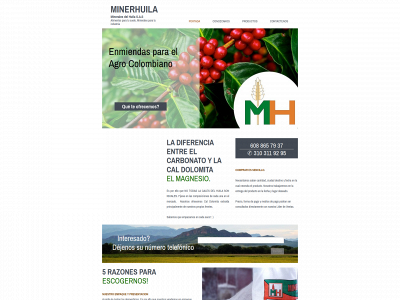 minerhuila.com snapshot