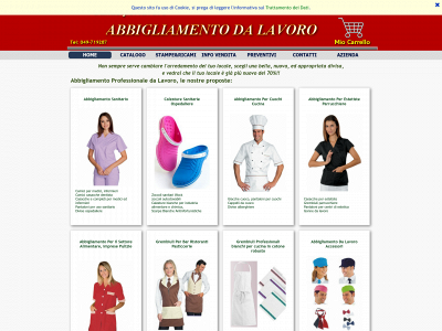 camiciperlavoro.com snapshot
