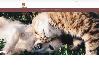 bestsolutions2you.com snapshot