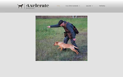 axelerategundogs.se snapshot