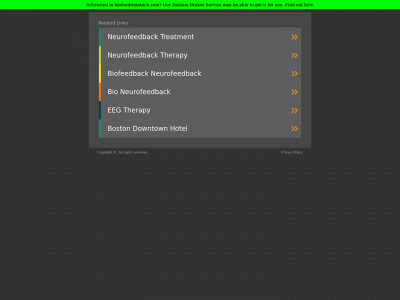 bostonbraintech.com snapshot