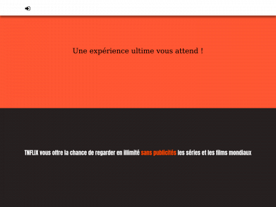 tnflix.net snapshot