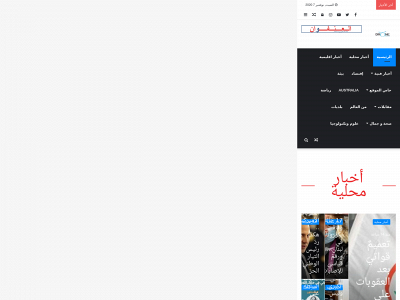 dronenewslb.com snapshot