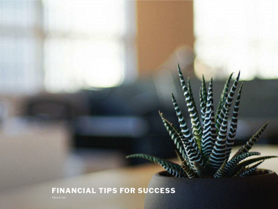 thefinancialinfluencer.com snapshot