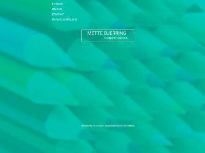 mettebjerring.com snapshot