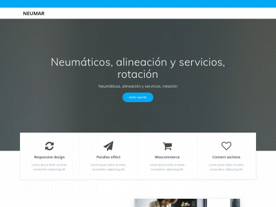 neumarsrl.com snapshot