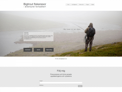 bigtrout.se snapshot